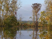 10-08-06-Piscataway-5781
