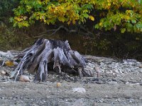 10-21-06-Rocky Gorge-6435-2