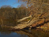 11-25-06-Rocky Gorge-7650