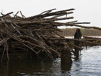 04-11-08-Mattawoman- MG 0996