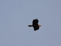 05-03-08-Mattawoman- MG 1403 1