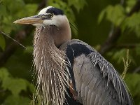 05-11-08-Rocky Gorge MG 2346