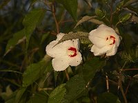 08-03-08-Rt 4 MG 5002