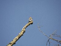 09-14-08-Piscataway MG 6501