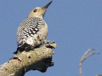 09-14-08-Piscataway MG 6506