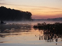10-11-08-Mattawoman MG 6943