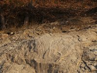 11-01-08-Rocky Gorge MG 9047