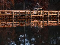 11-11-08-Mattawoman MG 9697