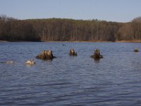 04-18-09-Rocky Gorge-IMG 1740