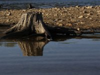 04-18-09-Rocky Gorge-IMG 1758