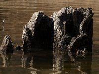 04-18-09-Rocky Gorge-IMG 1831