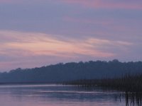 04-25-09-Mattawoman- 1868