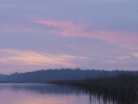 04-25-09-Mattawoman
