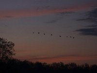 04-26-09-Rt 4 2145