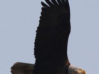 04-26-09-Rt 4 2431 2
