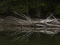 05-16-09-Rocky Gorge-IMG 2860