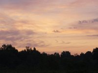 07-11-09-Rt 4-IMG 4489