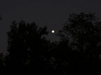 09-06-09-Rt 4-IMG 5823