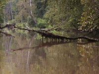 09-07-09-Piscataway-IMG 6166