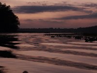 09-19-09-Mattawoman-IMG 6241