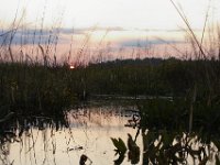 09-19-09-Mattawoman-IMG 6267