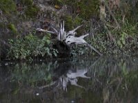 09-19-09-Mattawoman-IMG 6427