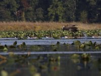 09-19-09-Mattawoman-IMG 6453