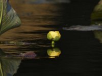 09-19-09-Mattawoman-IMG 6457
