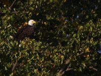 10-04-09-Rocky Gorge-IMG 6714