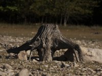 10-04-09-Rocky Gorge-IMG 6827