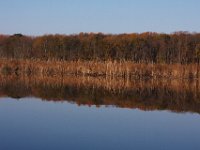 11-08-09-MattawomanIMG 7831