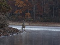 11-13-10-Rocky Gorge-7172