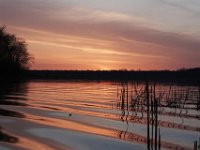 03-20-11-Mattawoman-8789