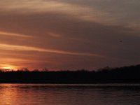 03-20-11-Mattawoman-8796