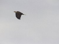 05-01-11-Piscatatway-9976