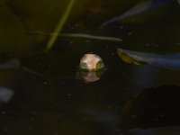 05-07-11-Mattawoman-0169