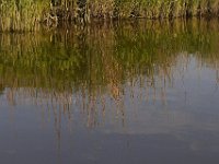 05-30-11-Nanjemoy-0992
