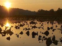 06-26-11-Piscataway