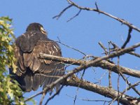07-09-11-West Rocky Gorge-3754