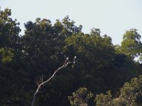 07-16-11-Skipton Creek-4091