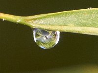 07-30-11-Mattawoman-7001 1