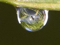 07-30-11-Mattawoman-7003