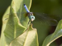 07-30-11-Mattawoman-7013