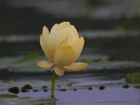 08-13-11-Mattawoman-7420