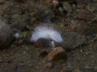 09-03-11-Rocky Gorge-8211