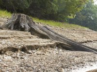 09-03-11-Rocky Gorge-8315