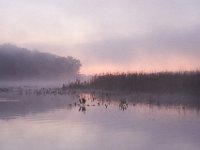 10-07-11-Mattawoman-9394