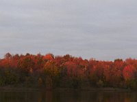 10-22-11-Little Seneca Lake-0511