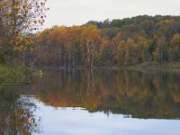 10-22-11-Little Seneca Lake-0549