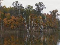 10-22-11-Little Seneca Lake-0604